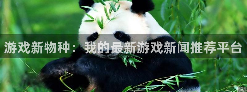 欧博娱乐网页登录入口下载：游戏新物种：我的最新游戏新闻推荐平