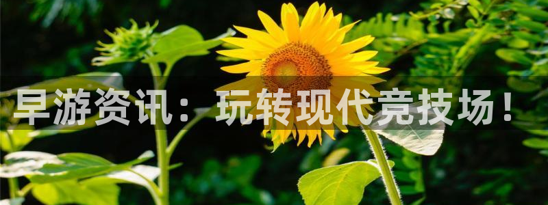欧博娱乐平台登录：早游资讯：玩转现代竞技场！