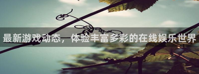 欧博网络游戏：最新游戏动态，体验丰富多彩的在线娱乐世界