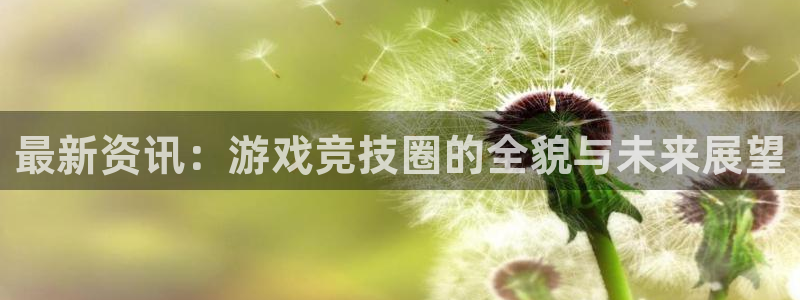 欧博官网入口：最新资讯：游戏竞技圈的全貌与未来展望
