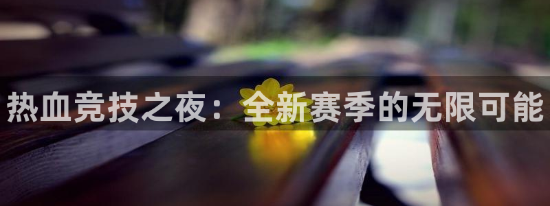 欧博娱乐注册服务条款：热血竞技之夜：全新赛季的无限可能