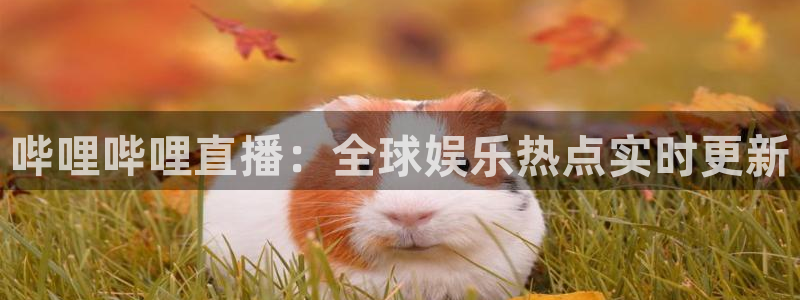 松鼠宝贝体育：哔哩哔哩直播：全球娱乐热点实时更新