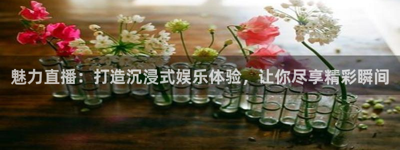 松鼠体育下载：魅力直播：打造沉浸式娱乐体验，让你尽享精彩瞬间