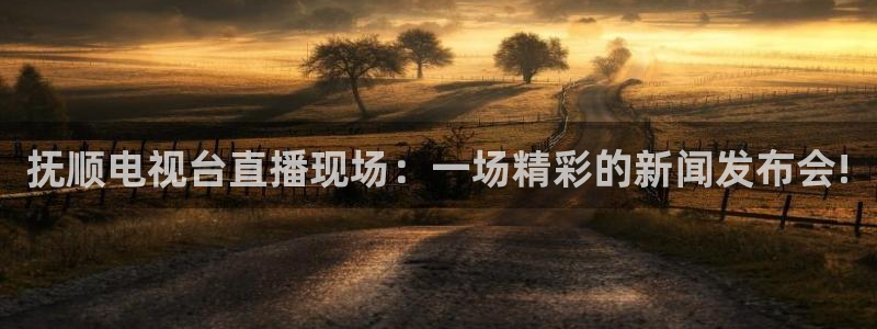 松鼠官方网站：抚顺电视台直播现场：一场精彩的新闻发布会!